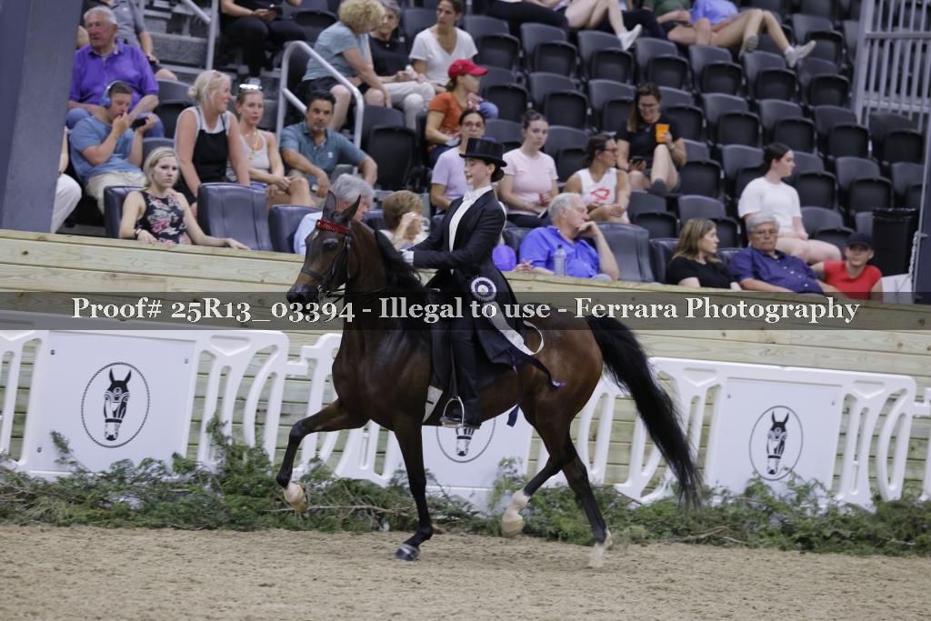 Proof 25R13_03394