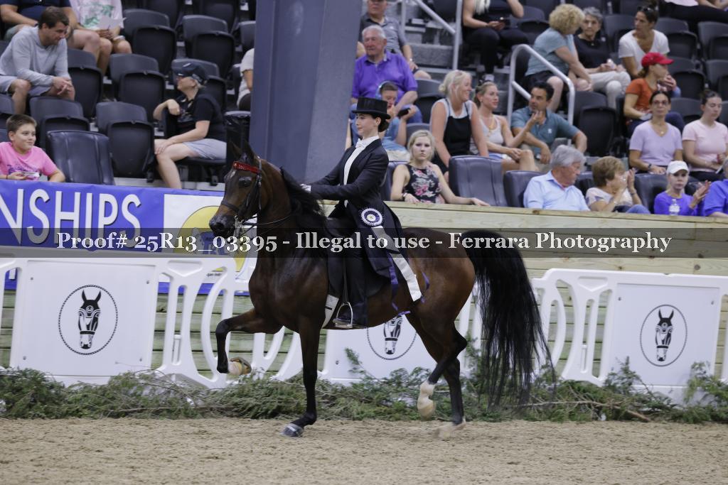 Proof 25R13_03395