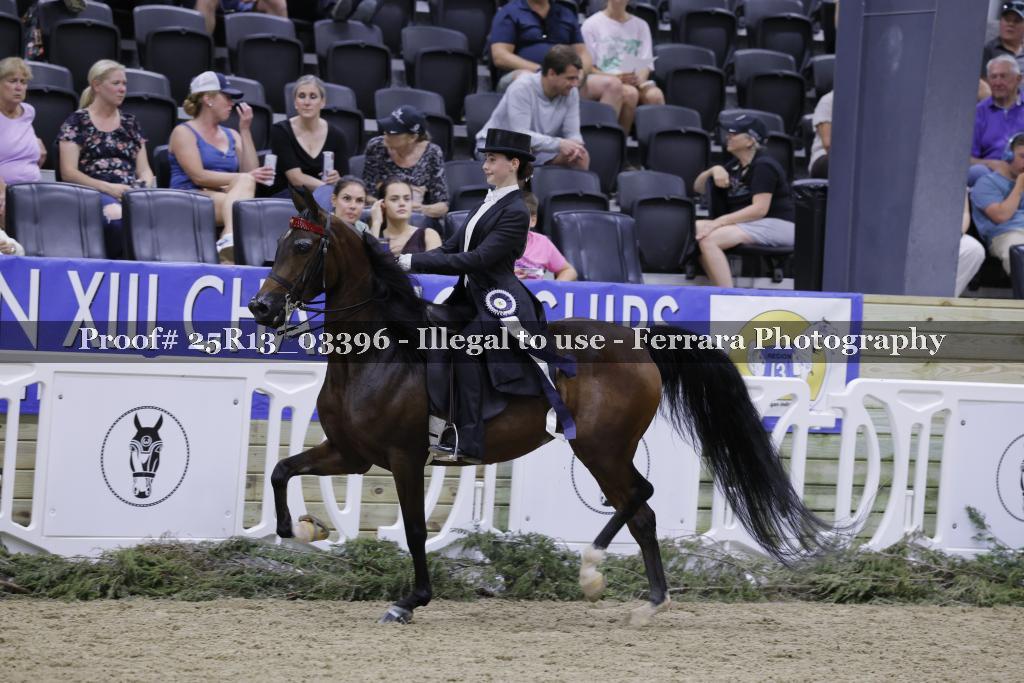 Proof 25R13_03396