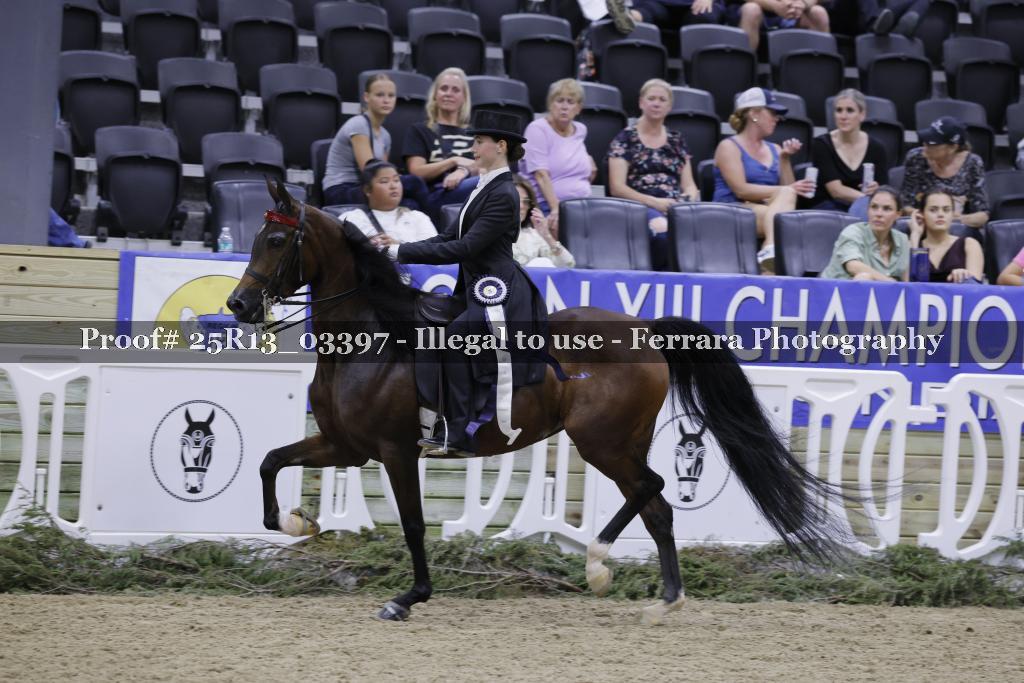 Proof 25R13_03397
