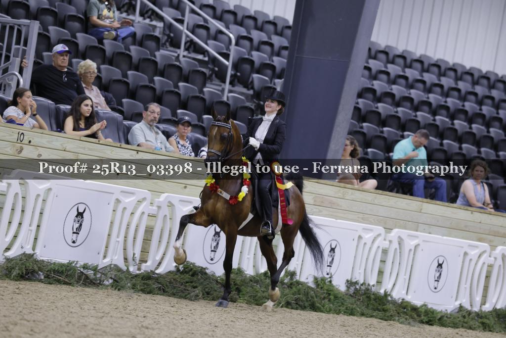 Proof 25R13_03398