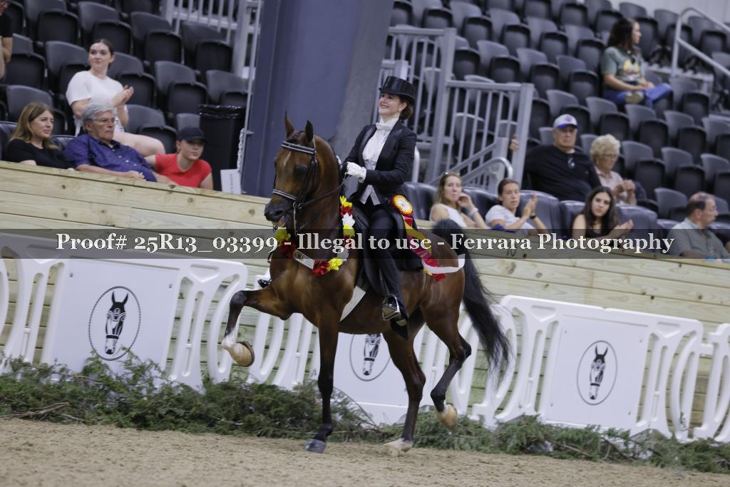 Proof 25R13_03399