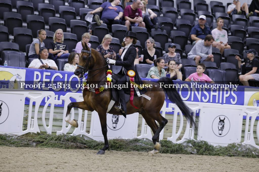 Proof 25R13_03401