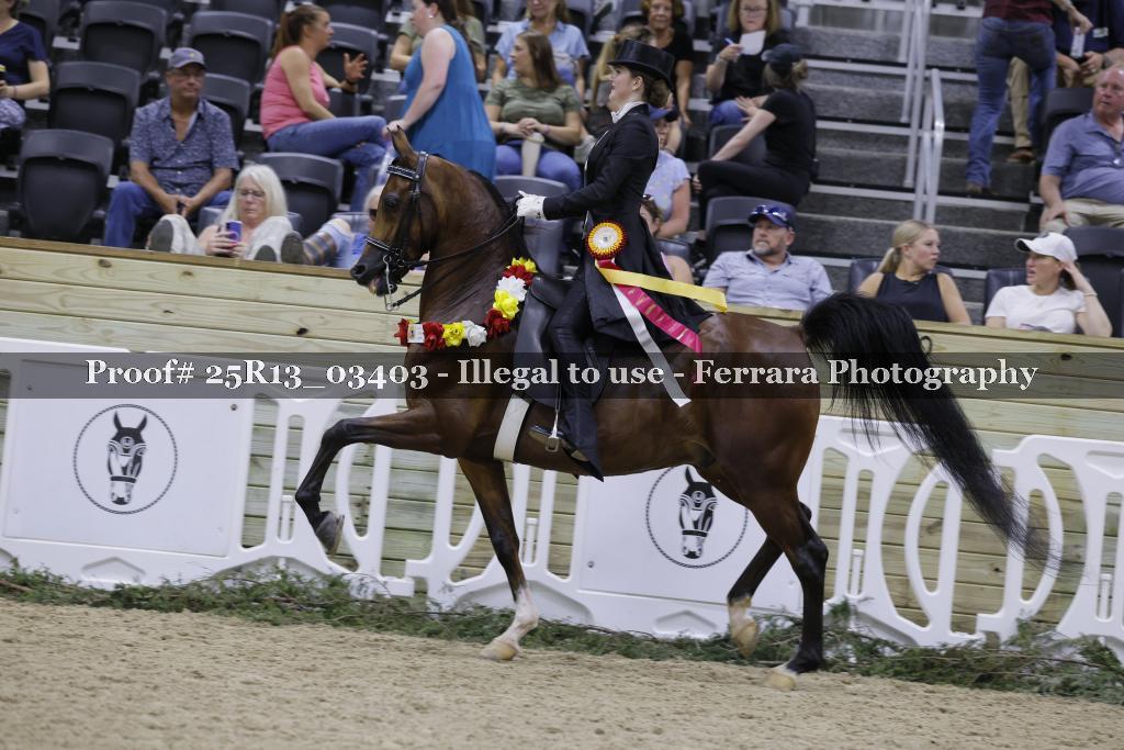 Proof 25R13_03403