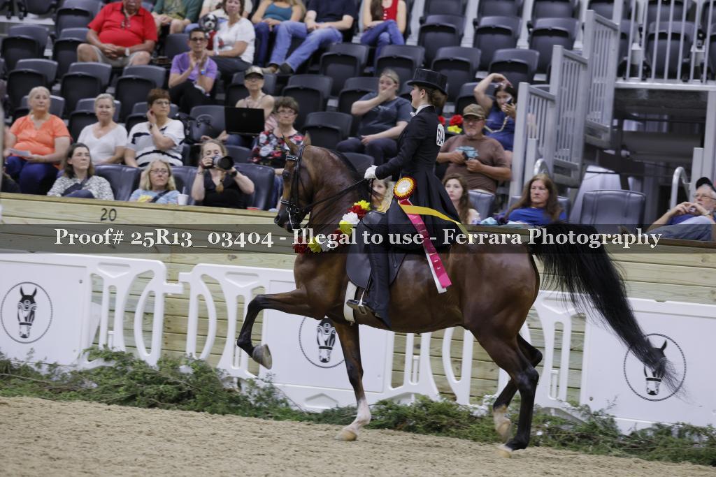 Proof 25R13_03404
