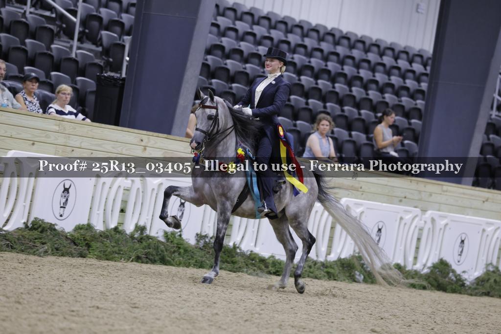 Proof 25R13_03405