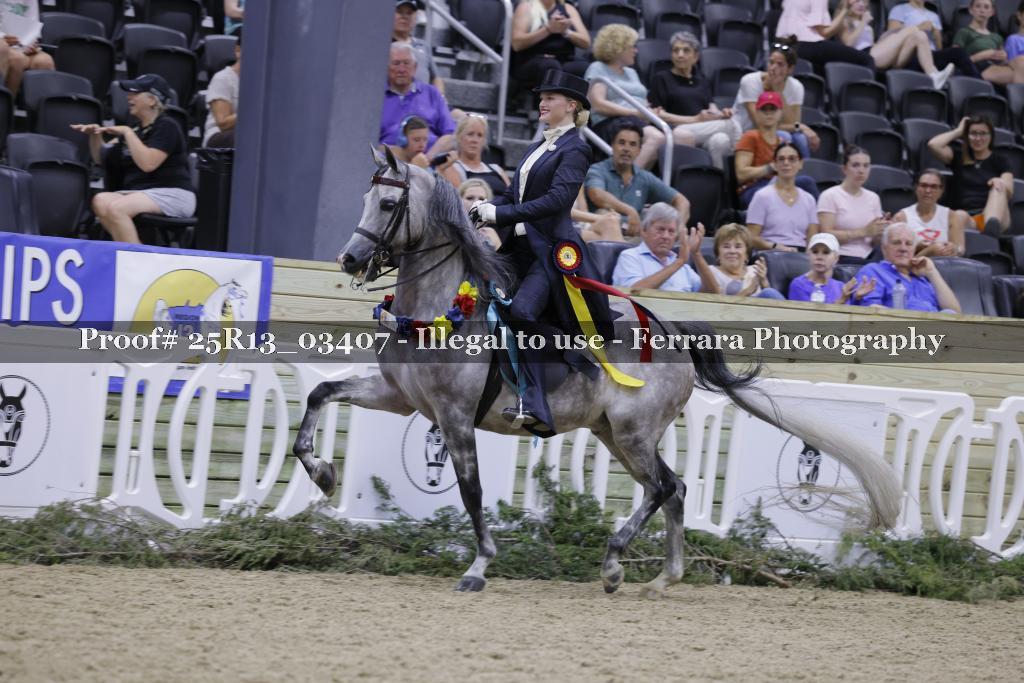 Proof 25R13_03407