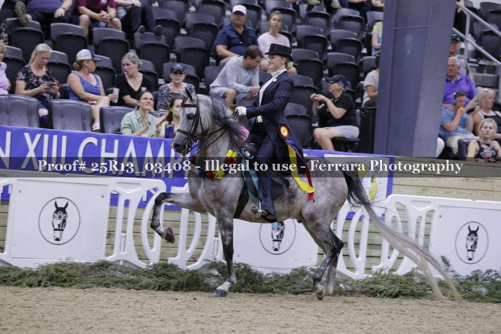 Proof 25R13_03408