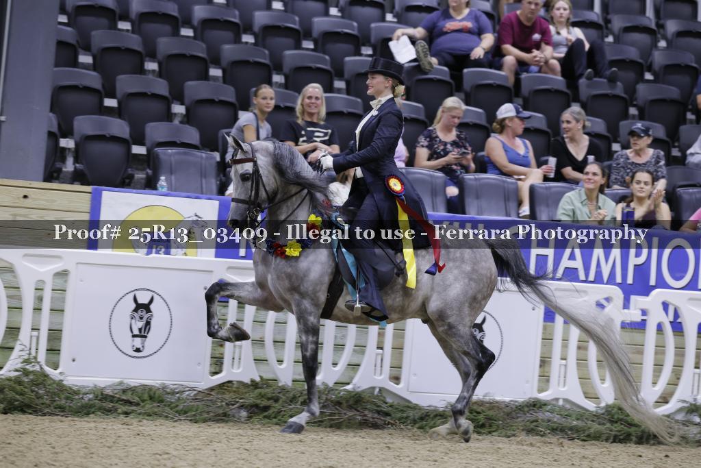 Proof 25R13_03409