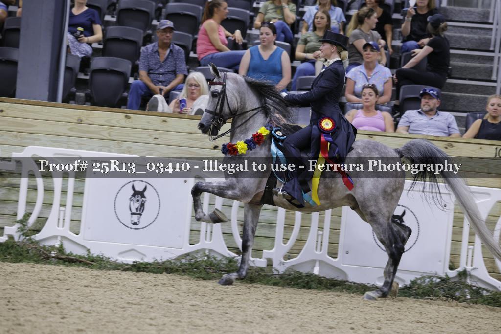 Proof 25R13_03410