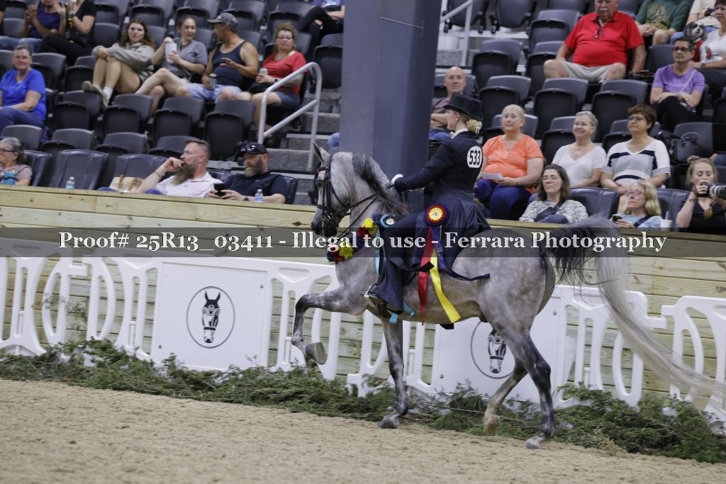 Proof 25R13_03411