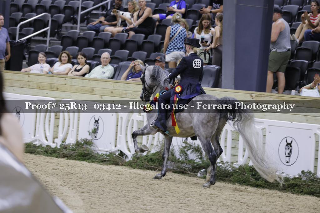 Proof 25R13_03412