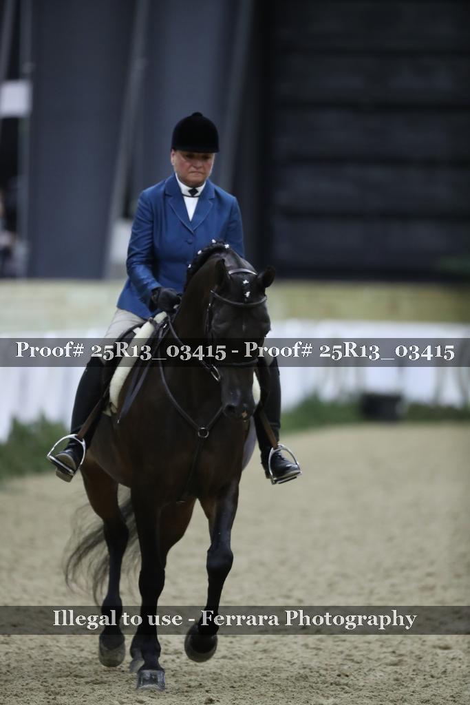 Proof 25R13_03415