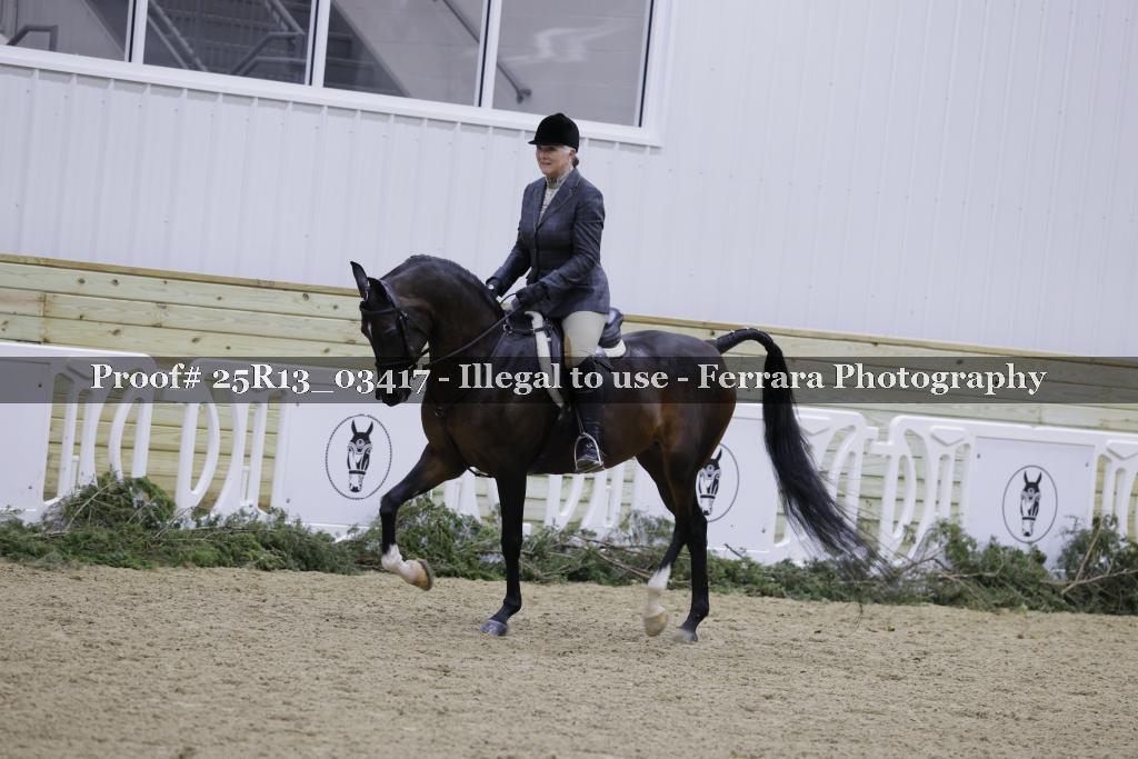Proof 25R13_03417