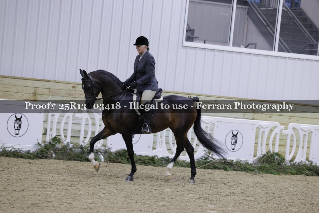 Proof 25R13_03418
