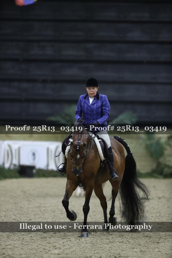 Proof 25R13_03419