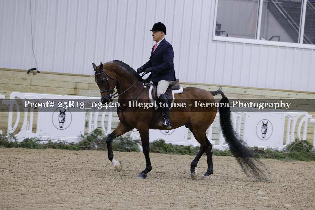 Proof 25R13_03420