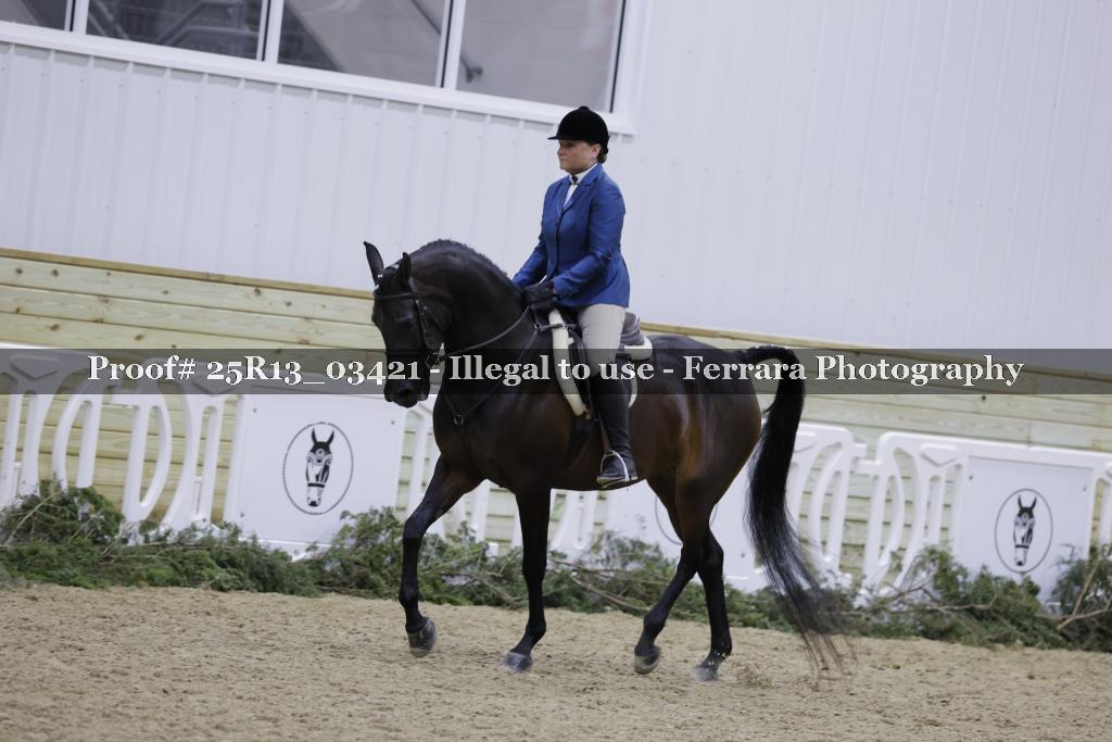 Proof 25R13_03421