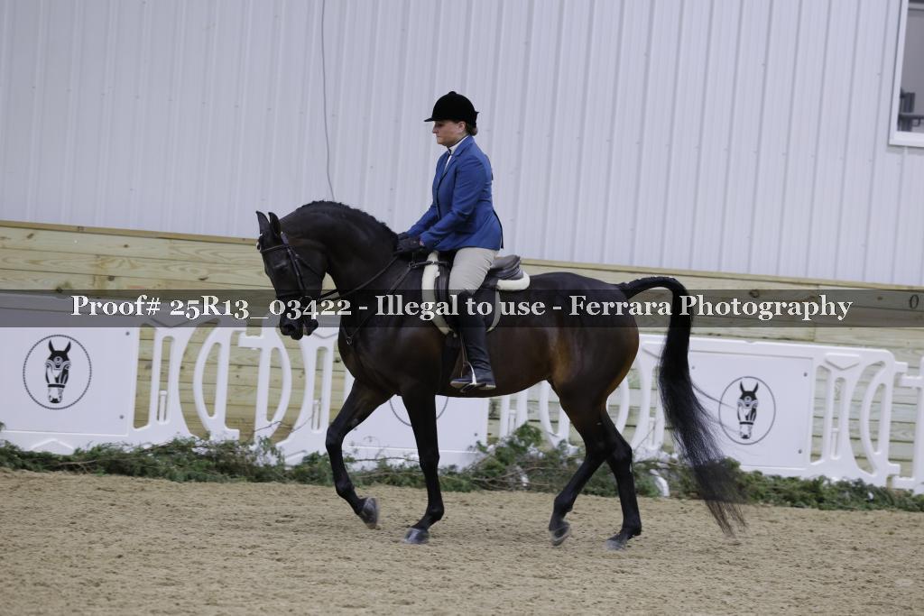 Proof 25R13_03422