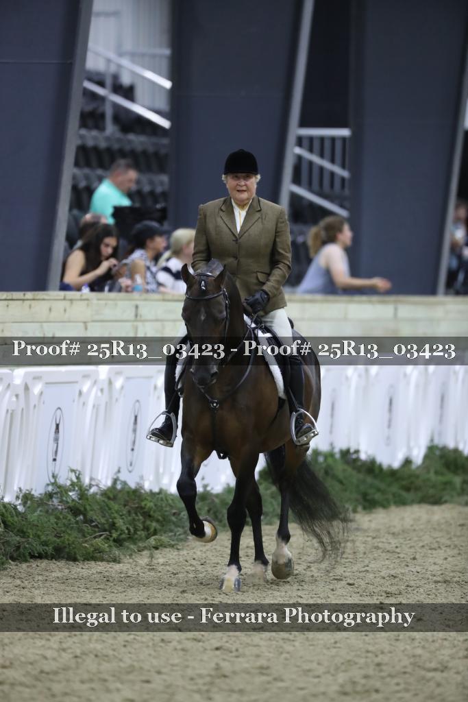 Proof 25R13_03423