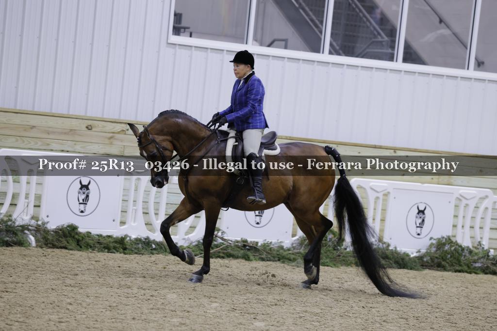 Proof 25R13_03426