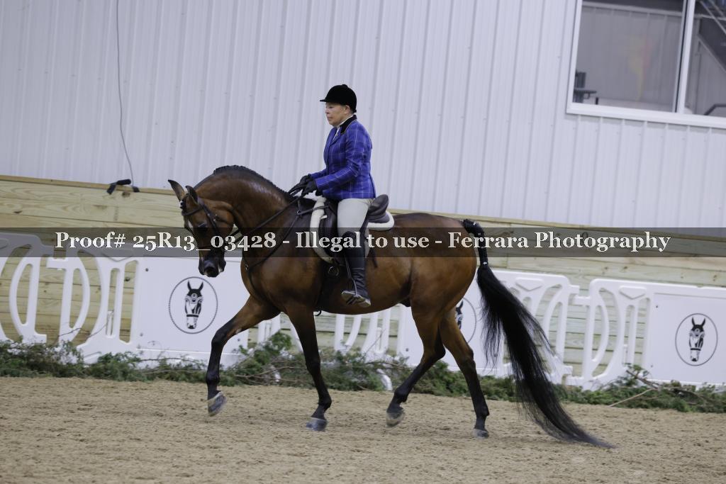 Proof 25R13_03428