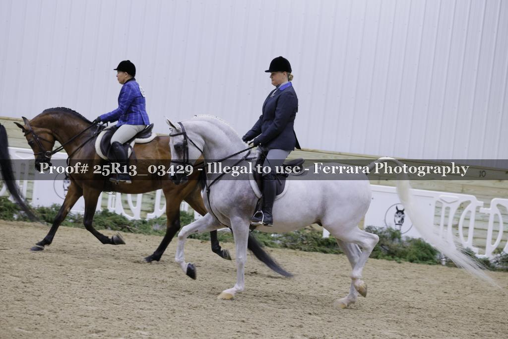 Proof 25R13_03429