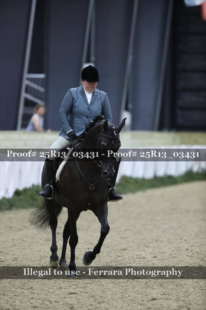 Proof 25R13_03431