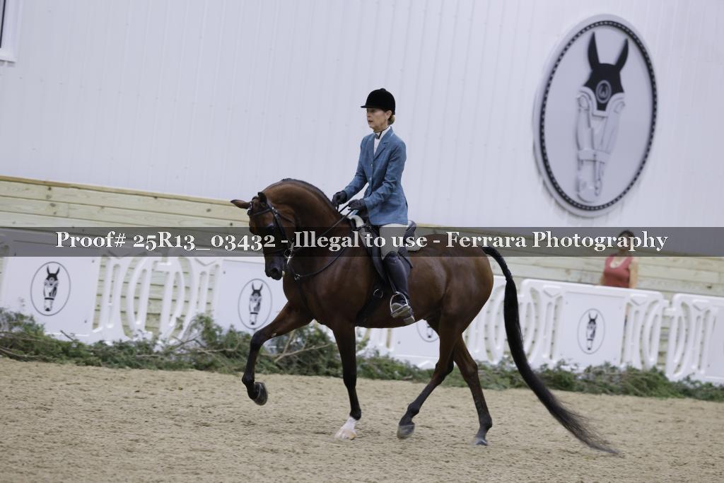 Proof 25R13_03432