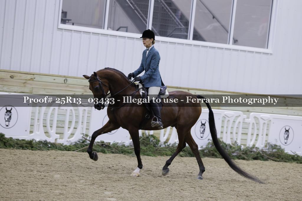 Proof 25R13_03433