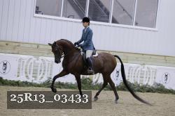 25R13_03433 proof
