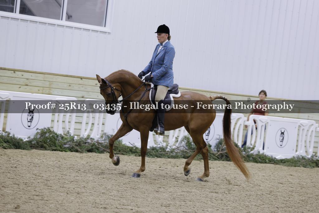 Proof 25R13_03435