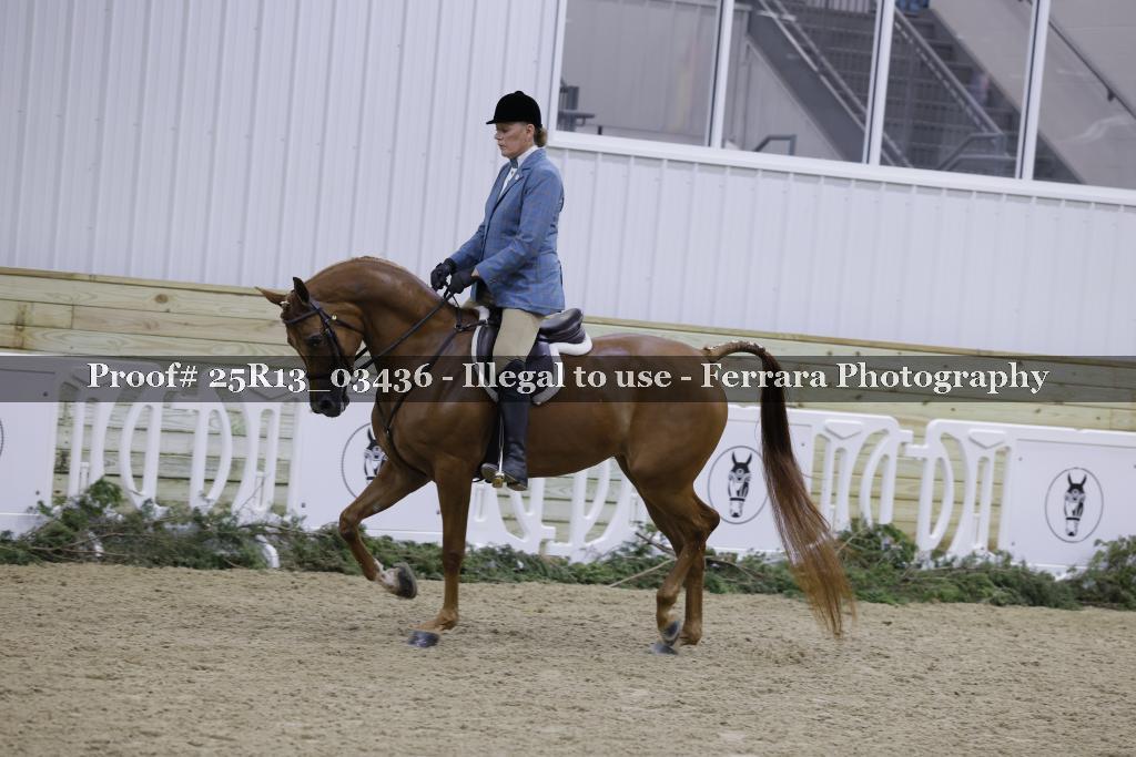 Proof 25R13_03436