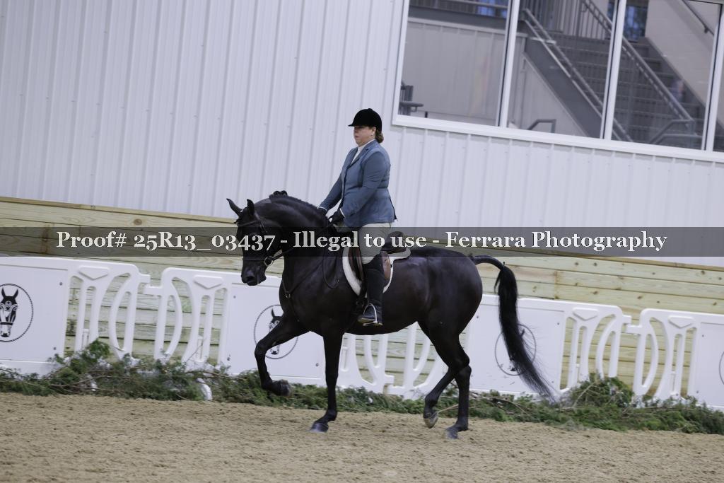 Proof 25R13_03437