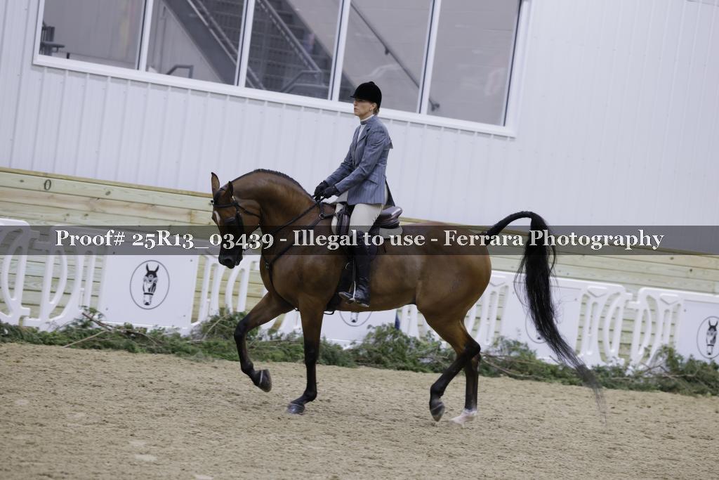 Proof 25R13_03439