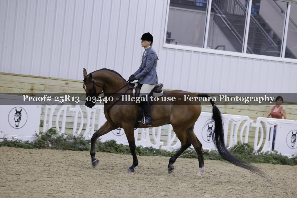 Proof 25R13_03440