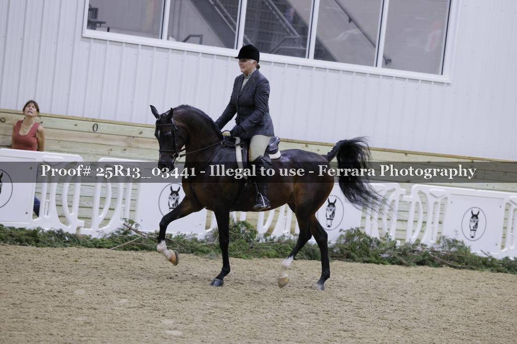 Proof 25R13_03441