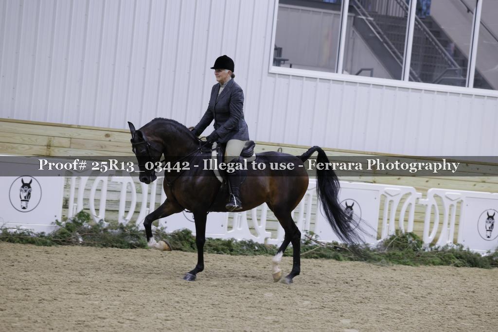 Proof 25R13_03442