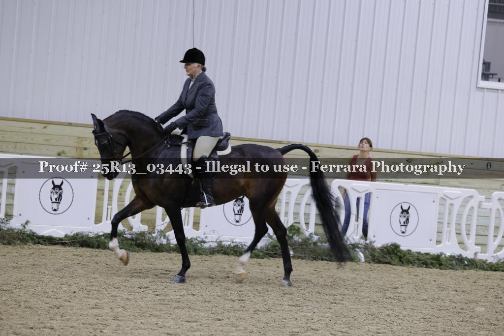 Proof 25R13_03443