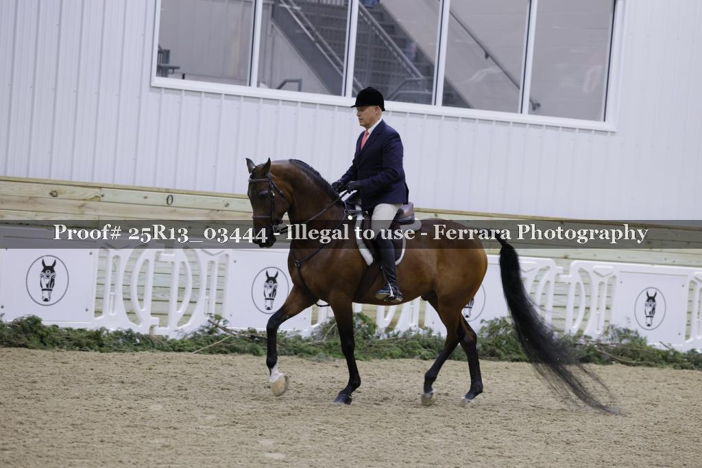 Proof 25R13_03444