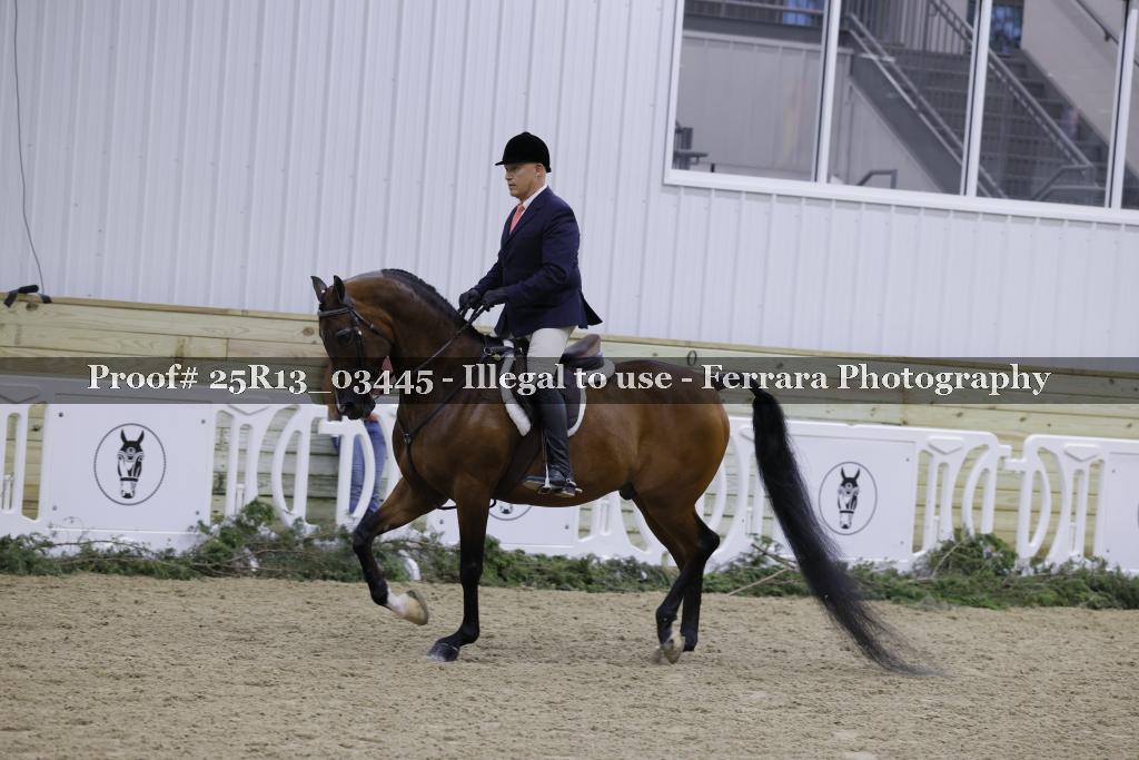 Proof 25R13_03445