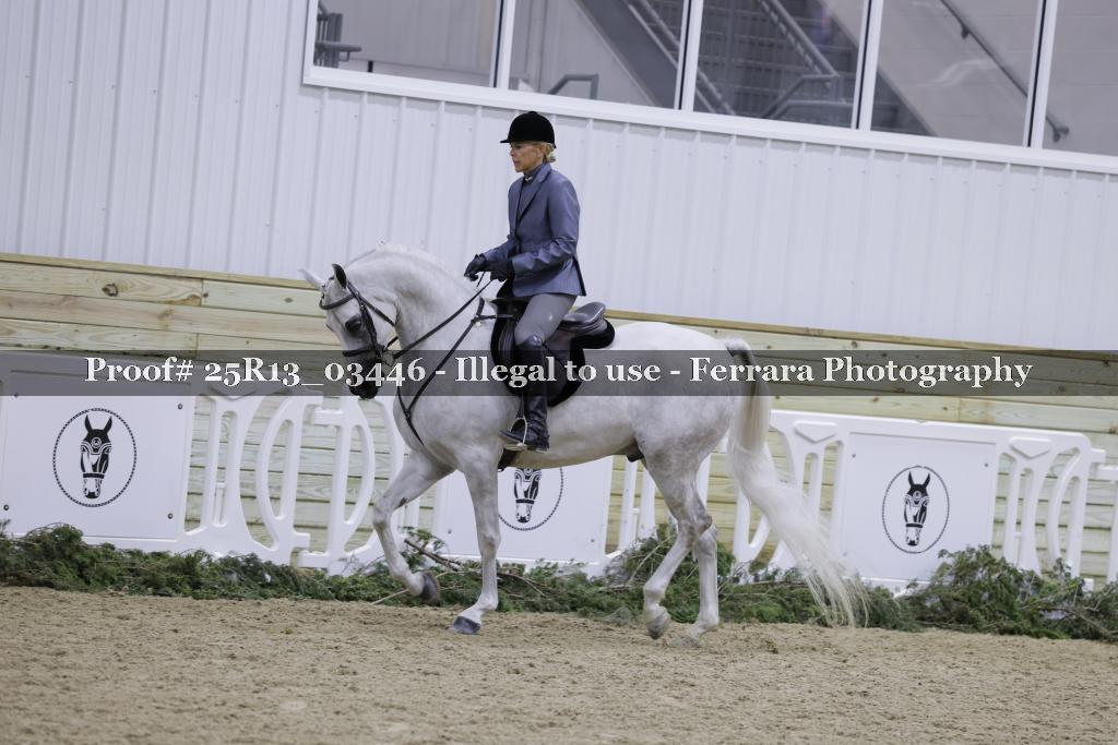 Proof 25R13_03446