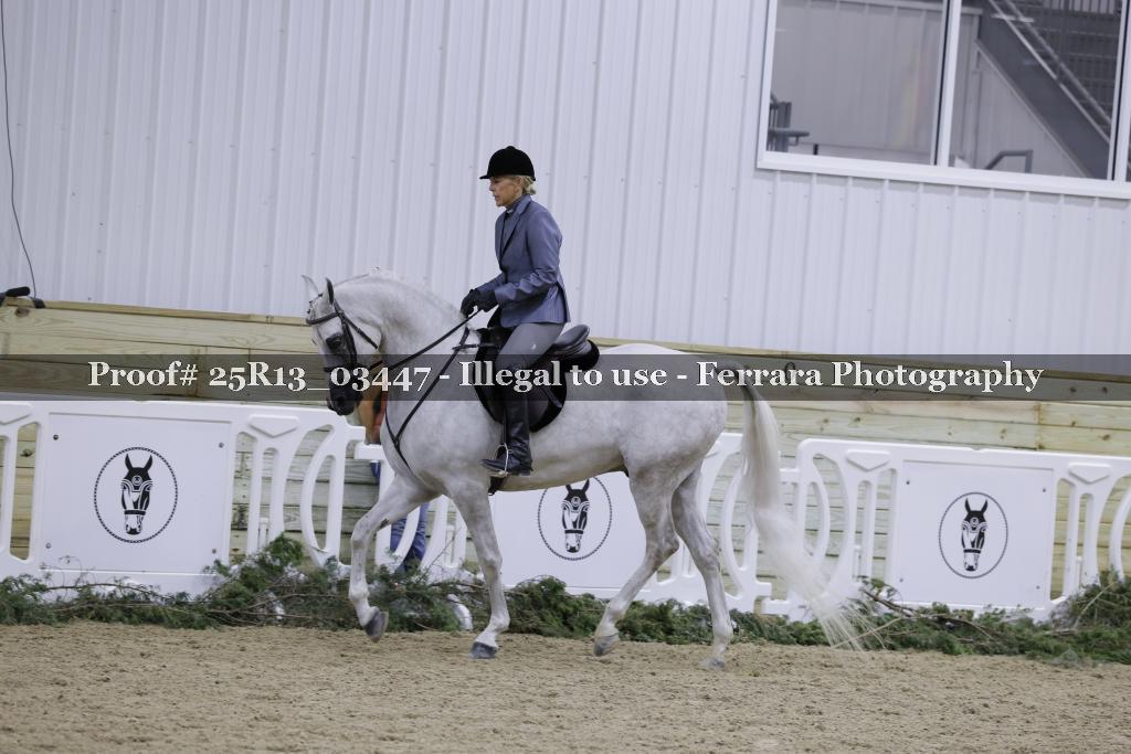 Proof 25R13_03447