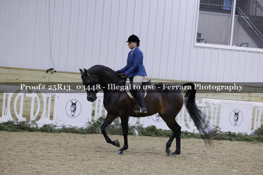 Proof 25R13_03448
