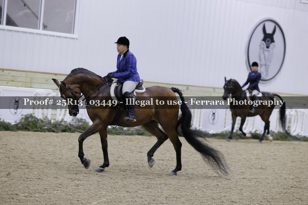 Proof 25R13_03449