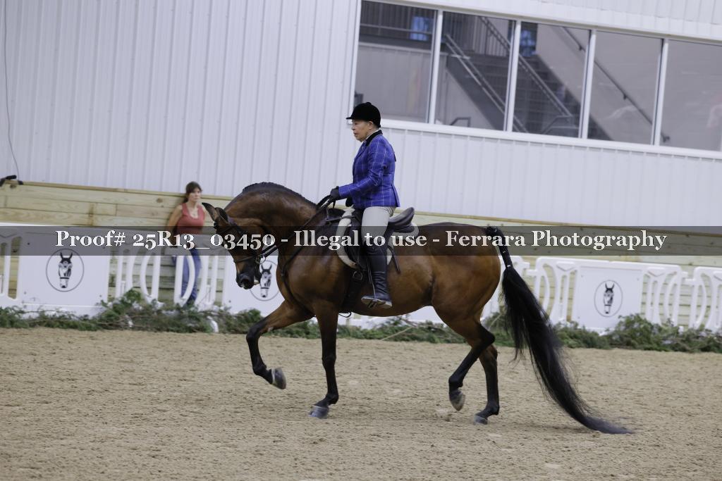 Proof 25R13_03450