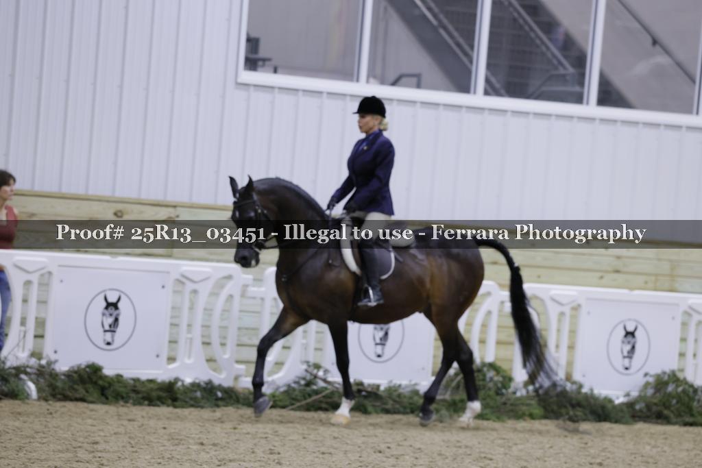 Proof 25R13_03451