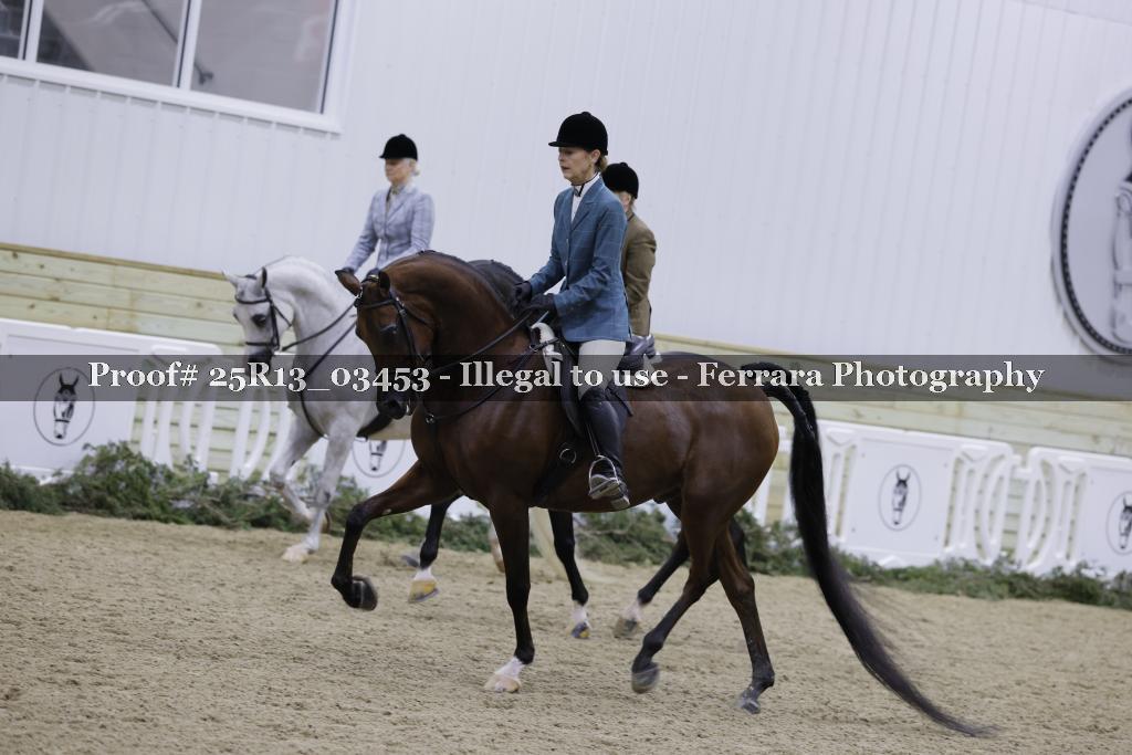 Proof 25R13_03453