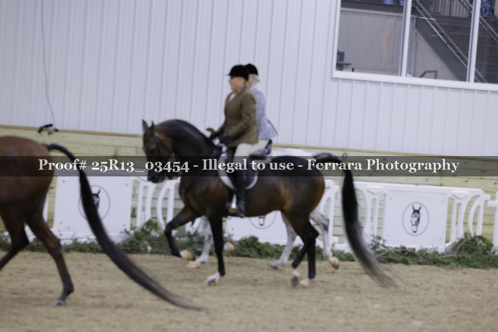 Proof 25R13_03454