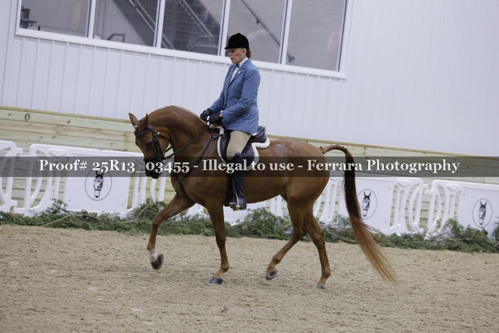 Proof 25R13_03455